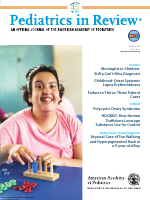 PIR - June 2024.pdf